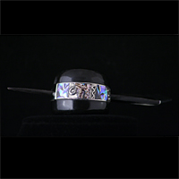 Haarschmuck aus Horn, Silber und mehrfarbigem Perlmutt